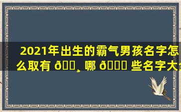 2021年出生的霸气男孩名字怎么取有 🕸 哪 🐛 些名字大全值得参考